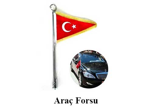 Araç Forsu